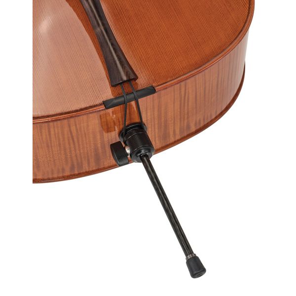 Détail 6 — Rainer W. Leonhardt No. 300 Master Cello 4/4