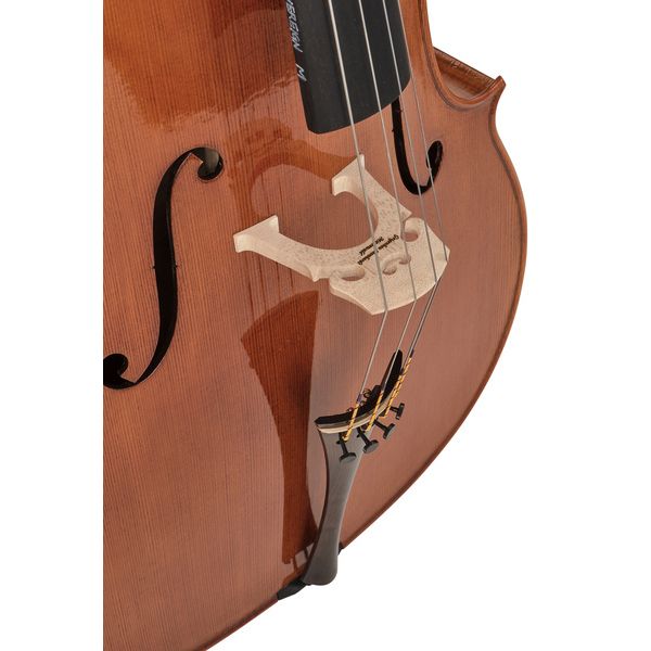 Détail 8 — Rainer W. Leonhardt No. 300 Master Cello 4/4