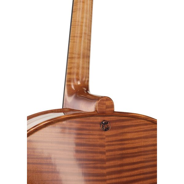 Détail 9 — Rainer W. Leonhardt No. 300 Master Cello 4/4