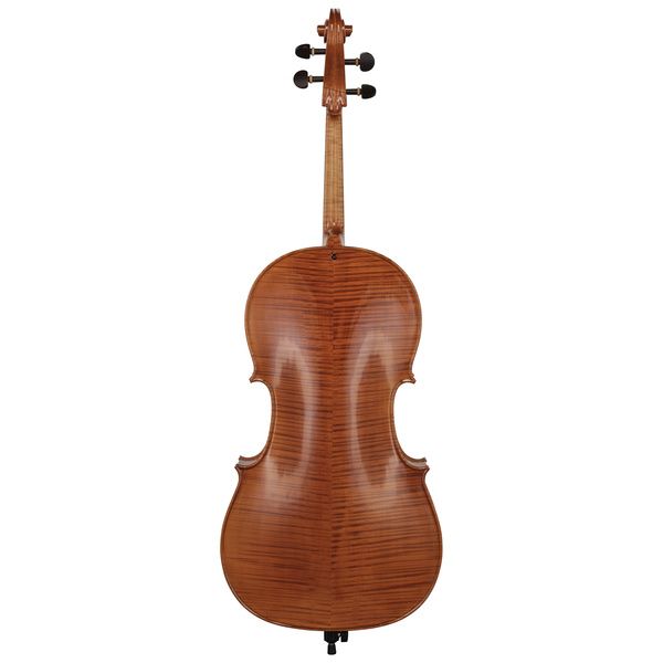 Détail 3 — Rainer W. Leonhardt No. 300 Master Cello 4/4