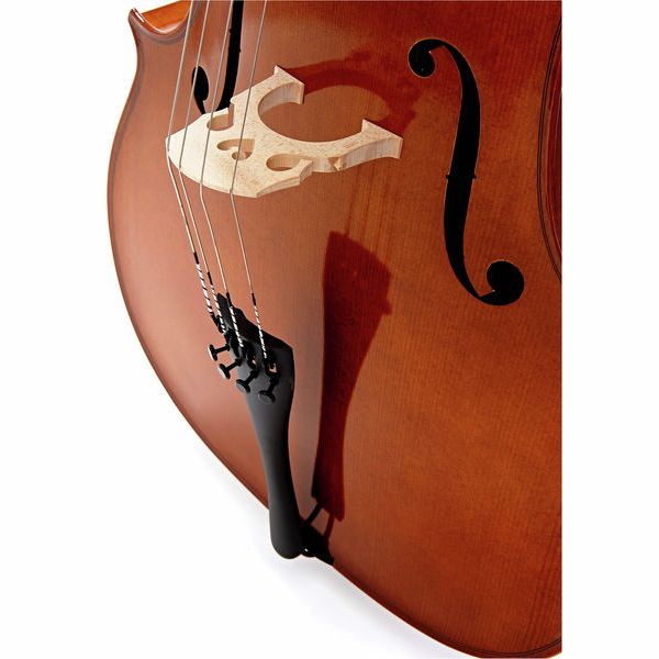 Détail 2 — Karl Höfner H4/2-C 4/4 Cello