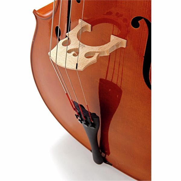 Détail 2 — Karl Höfner H5-C Cello 4/4