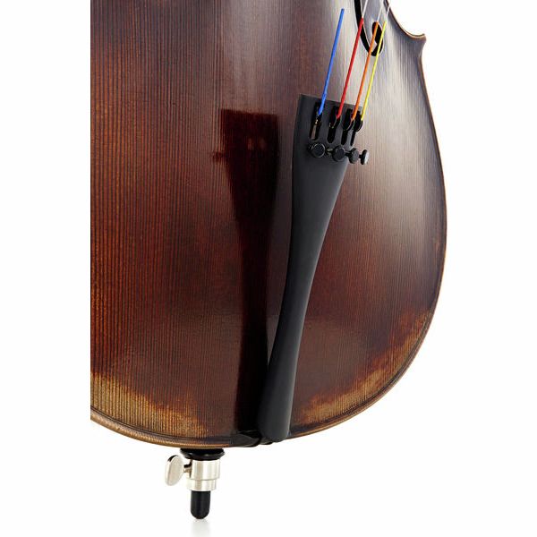Détail 6 — Gewa Germania 11 Paris Antik Cello