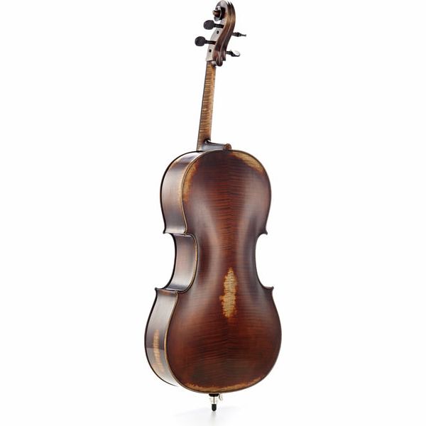 Détail 1 — Gewa Germania 11 Paris Antik Cello