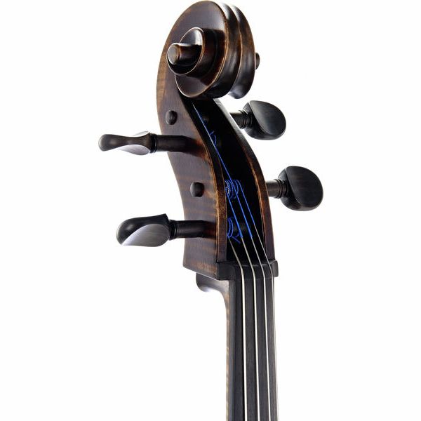 Détail 2 — Gewa Germania 11 Paris Antik Cello