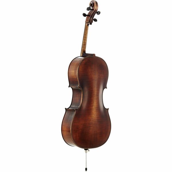Détail 1 — Gewa Germania Paris Cello 4/4