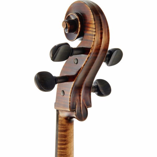 Détail 6 — Gewa Germania Paris Cello 4/4