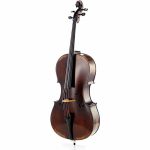 Test Gewa Germania 11 Paris Antik Cello: essai technique approfondi