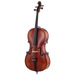Roth & Junius Europe Orchestra Cello An/Eb: test et avis